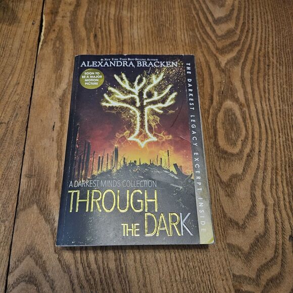 2018 Through The Dark by Alexandra Bracken Trade Paperback Book - Picture 5 of 5